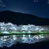 満開の夜桜