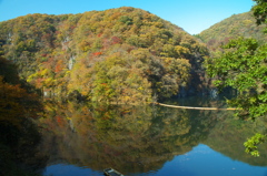水面に映る景色