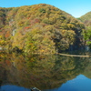 水面に映る景色
