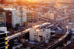 京都駅から