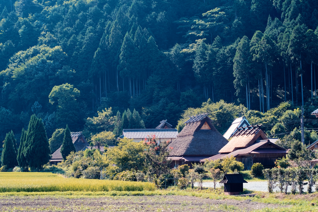 美山町