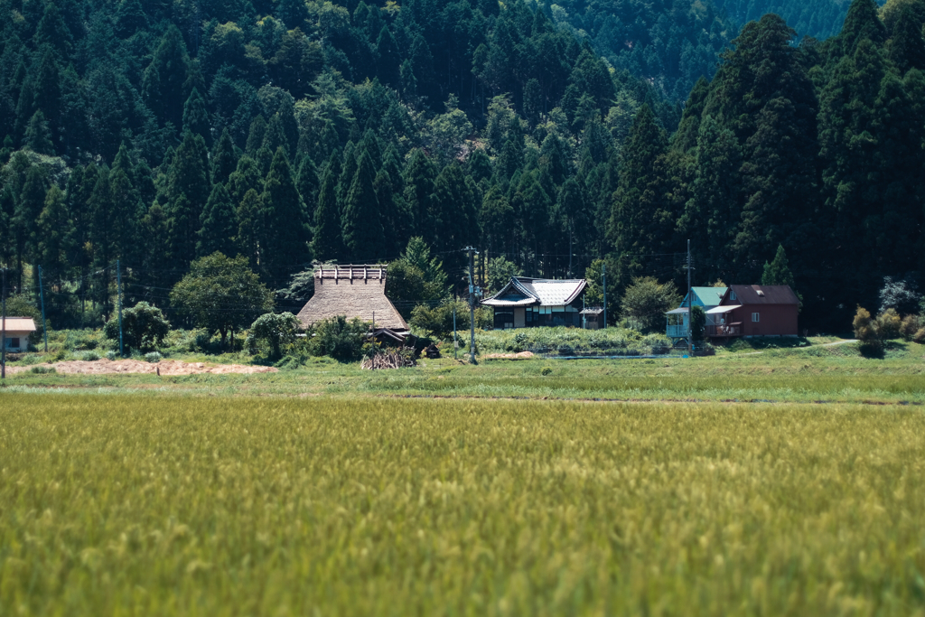 美山町2