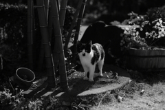 記念写真