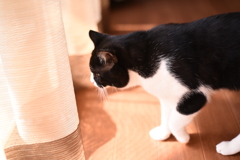 光のさきを