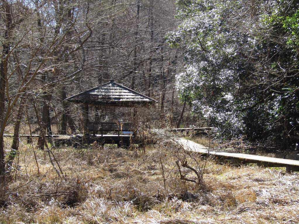 冬の光