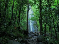 マヌアの滝(オアフ島)