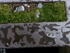 影絵風の雨跡