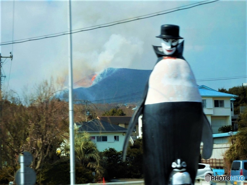 大室山の山焼き