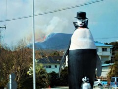 大室山の山焼き
