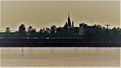 東京ディズニーランド
