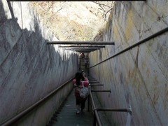 ダイヤモンドヘッド下山