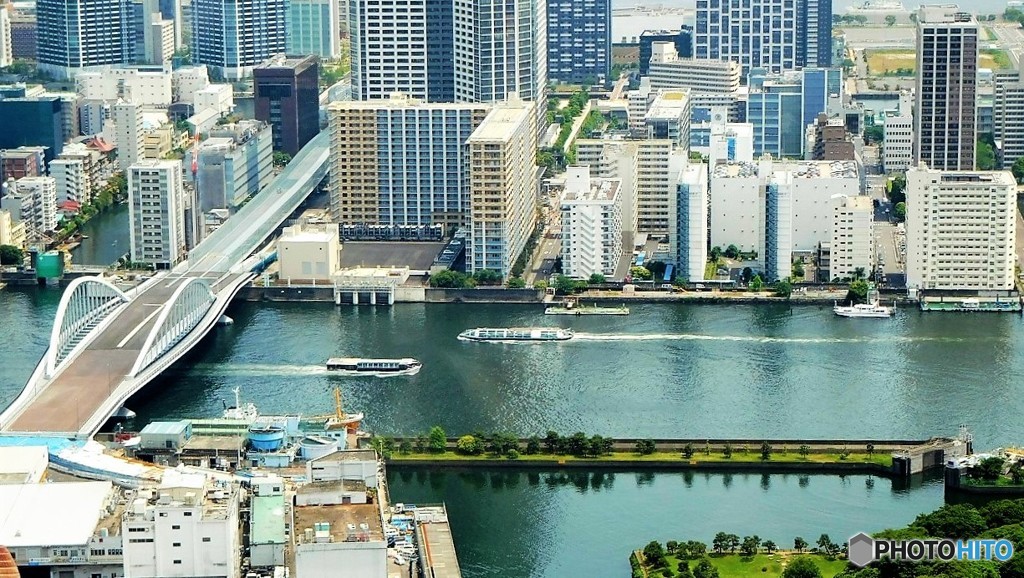 水辺の風景