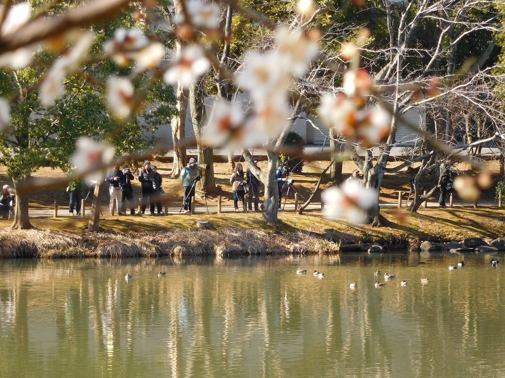 お目当ての鳥さんは？