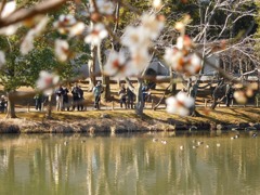 お目当ての鳥さんは？