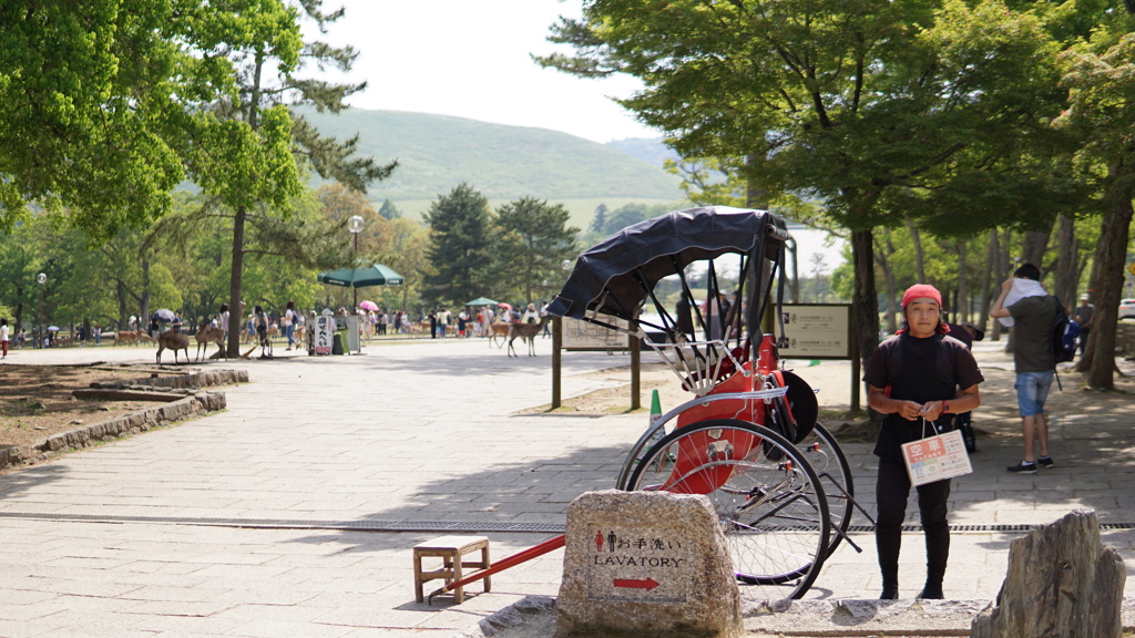 奈良公園　文化伝承