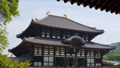 奈良大仏殿⑦