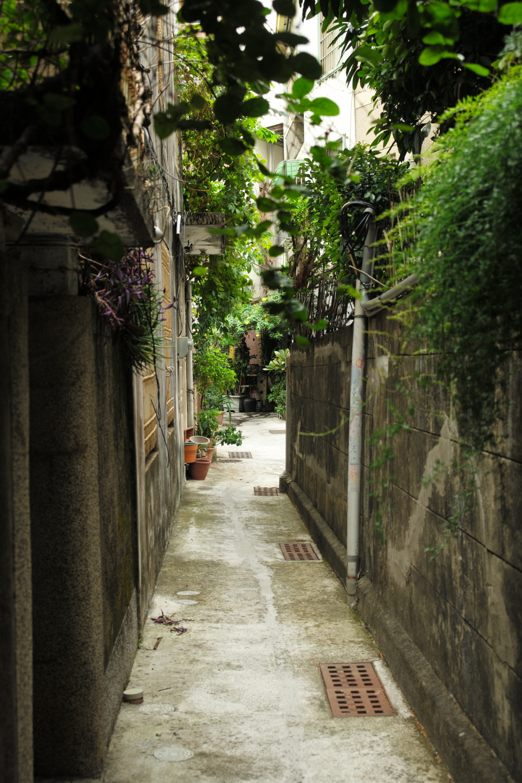 台湾　台南　路地裏(676)