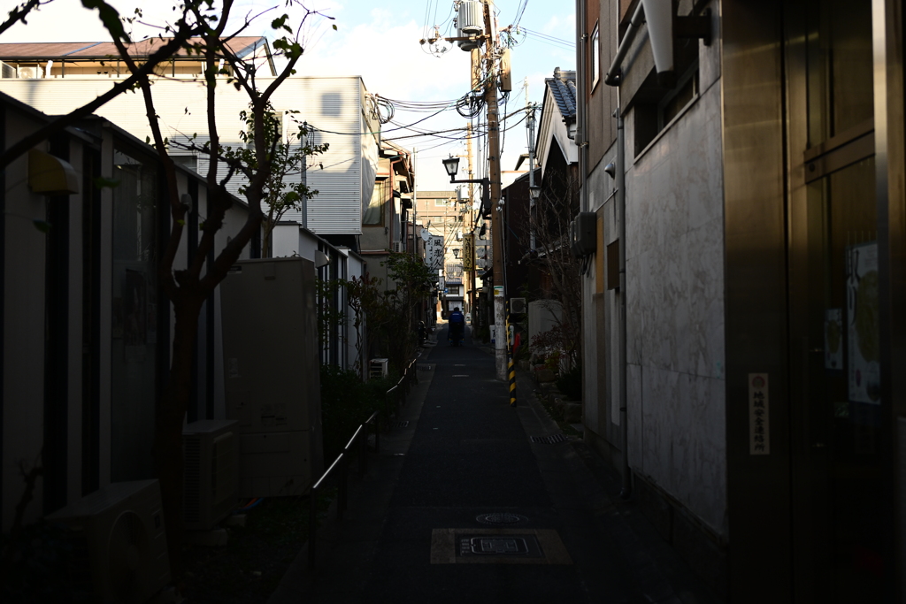 奈良スナップ