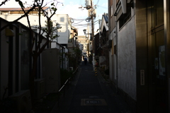 奈良スナップ