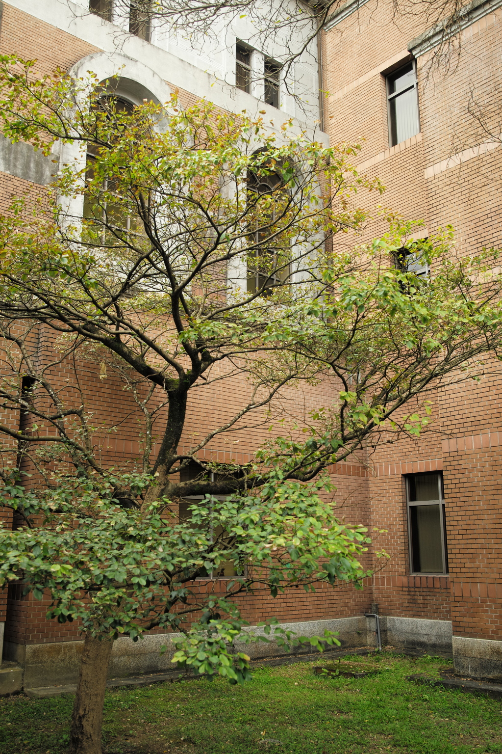 台湾大学図書館01