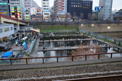 Tokyo Snap9