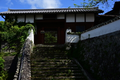 臼杵スナップ⑭