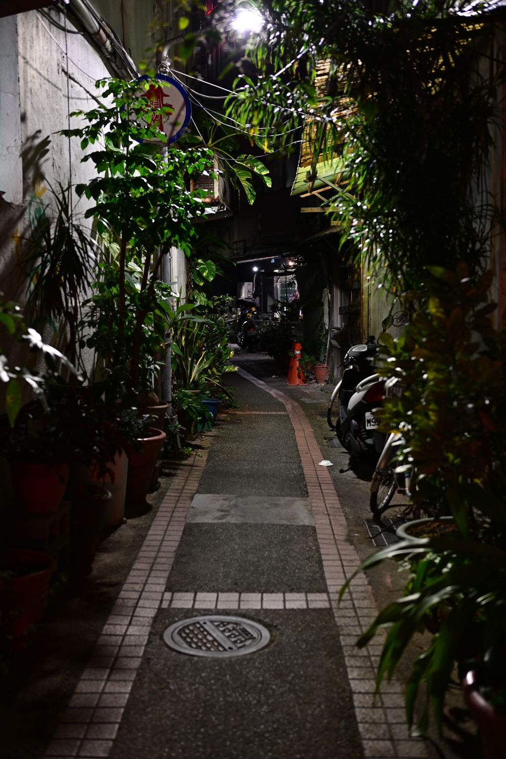 台北夜スナップ