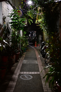台北夜スナップ