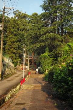 朝見神社⑤