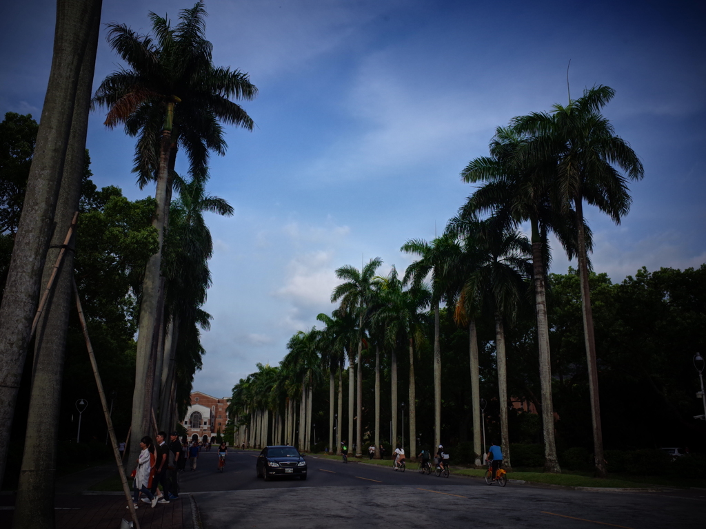 台湾大学