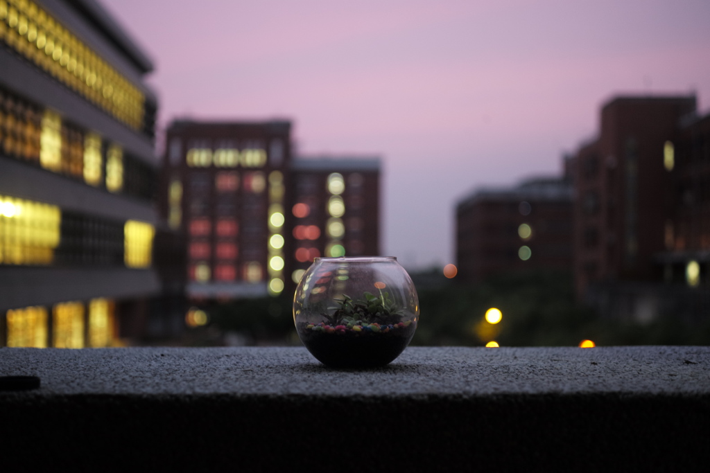 静物