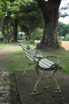 ベンチ