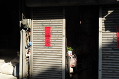 台南スナップ