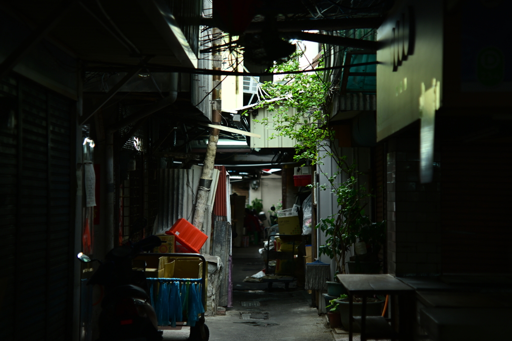 台南路地裏856 