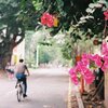 自転車