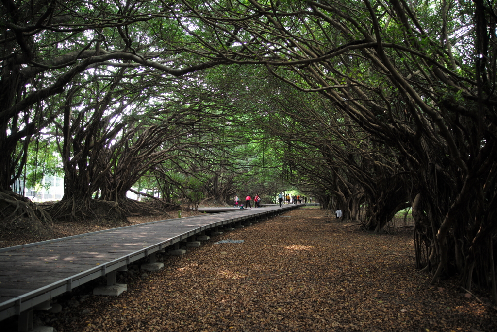 新營區陸軍長勝營區
