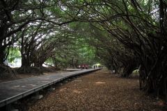 新營區陸軍長勝營區
