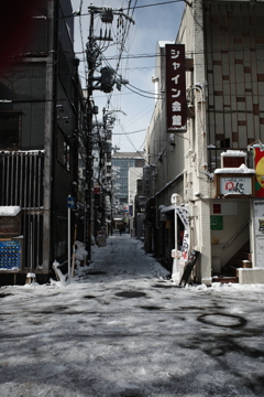 雪の京都