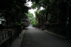 臺南321巷