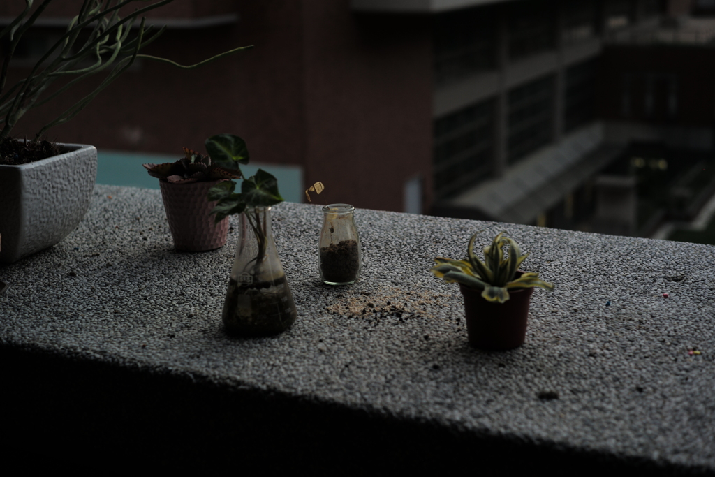 生物