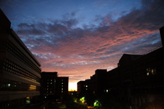 夕暮れ