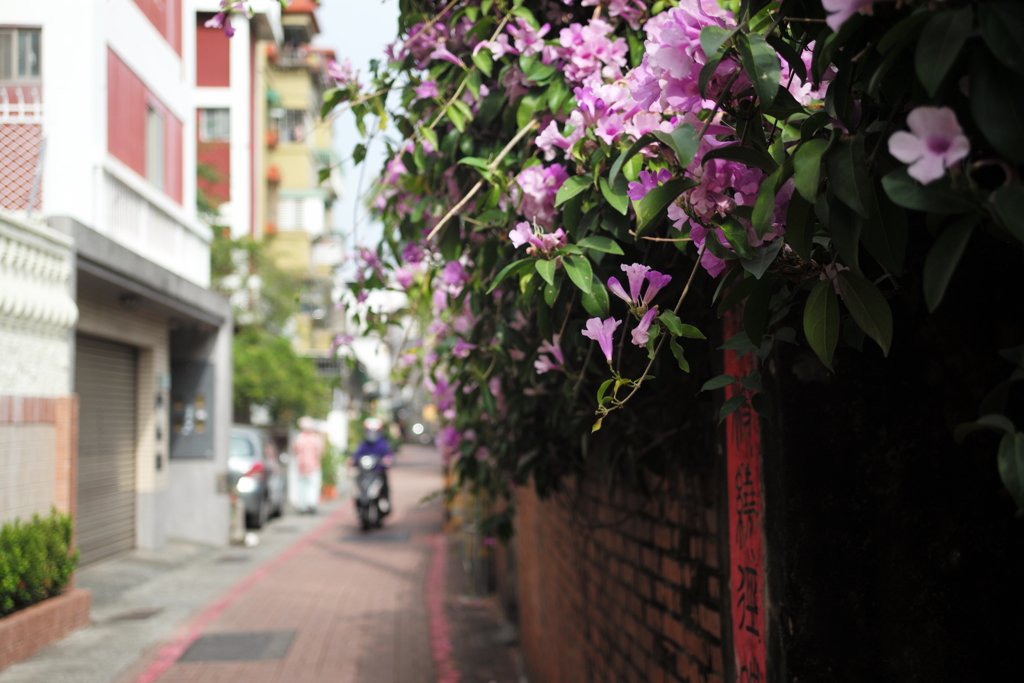 台南　路地裏（561）