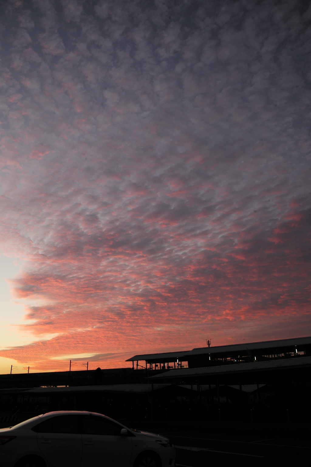 夕日