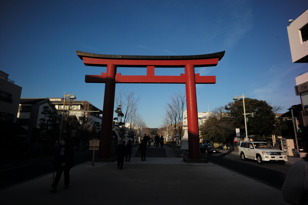 鶴岡八幡宮01