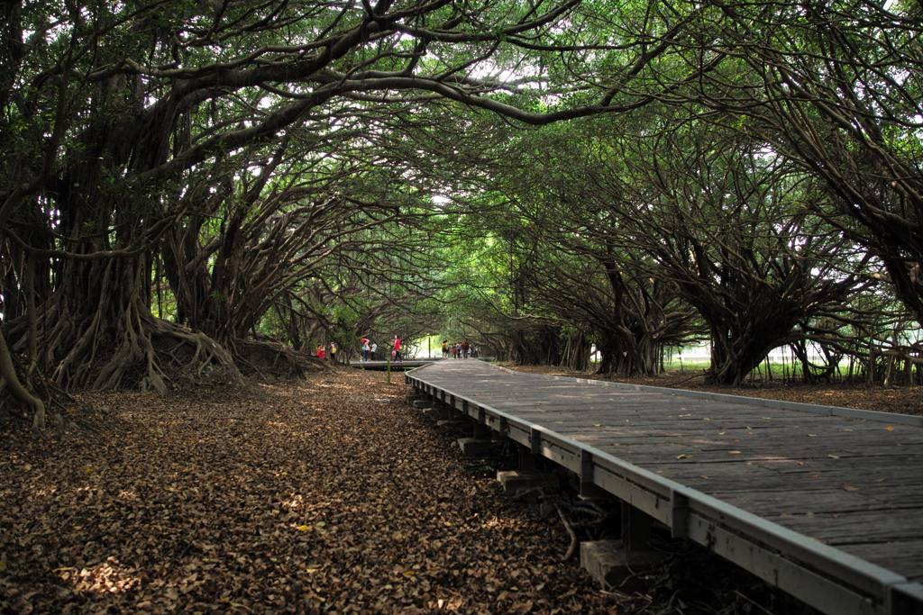新營區陸軍長勝營區02