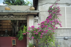 黄埔新村 