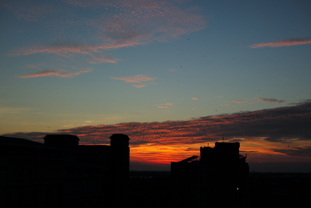 2017年５月31日の夕景２