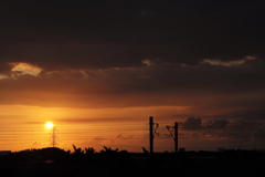 夕暮れ