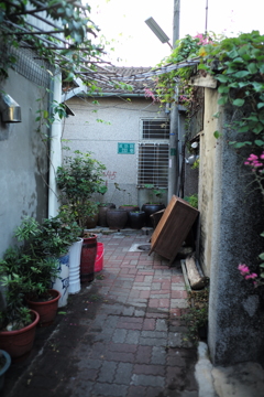 台湾台南路地裏(41)