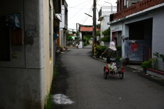 佳冬